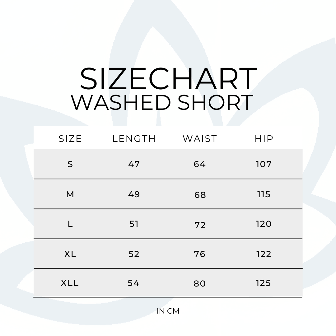 SLATE - WASHED SHORTS